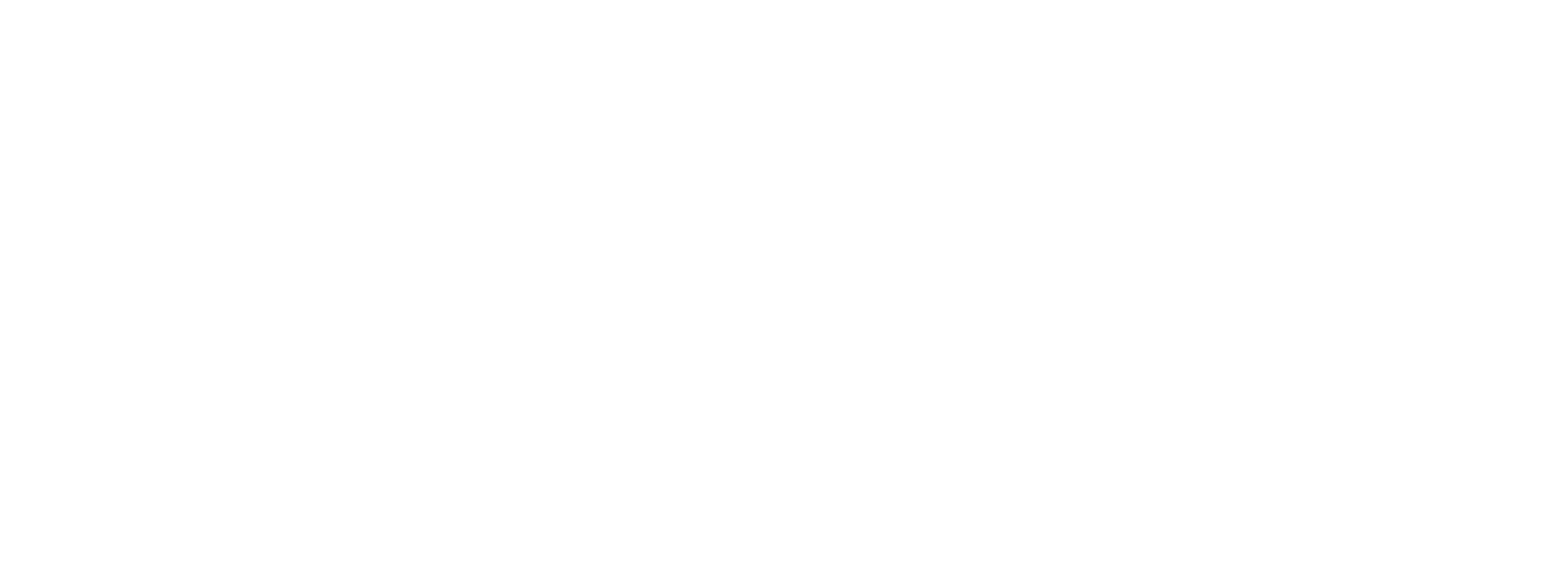 LayPlayer